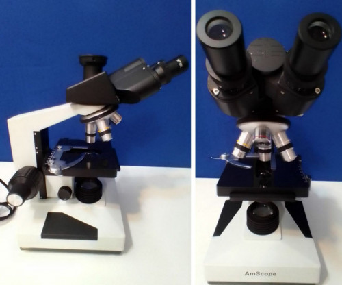 microscope amscope