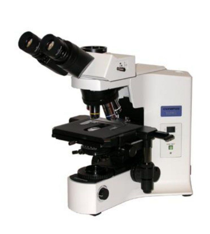 bxمیکروسکوپ الیمپوس